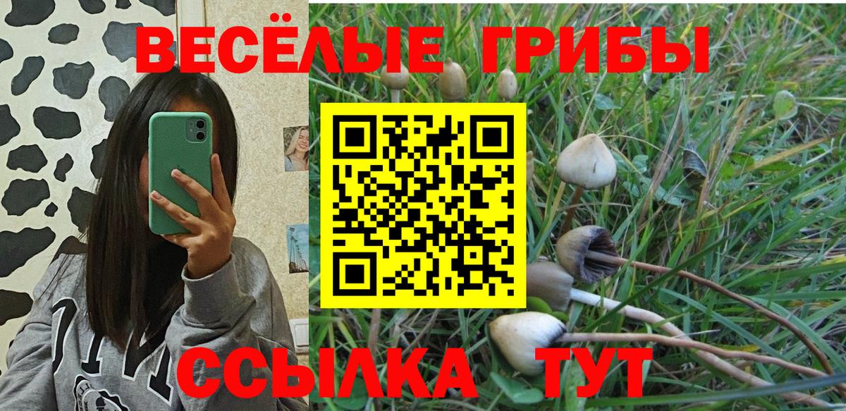 Рязань  Галлюциногенные грибы мухоморы  Вход с VPN 